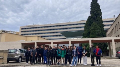 Collège Fraissinet : collège public à Marseille