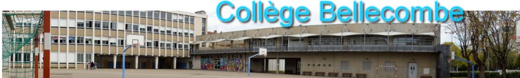 Collège Bellecombe : collège public à Lyon