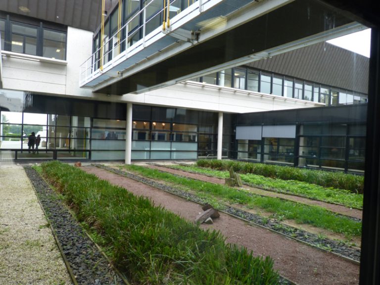 Lycée Camille Saint-Saens : lycée public à Rouen