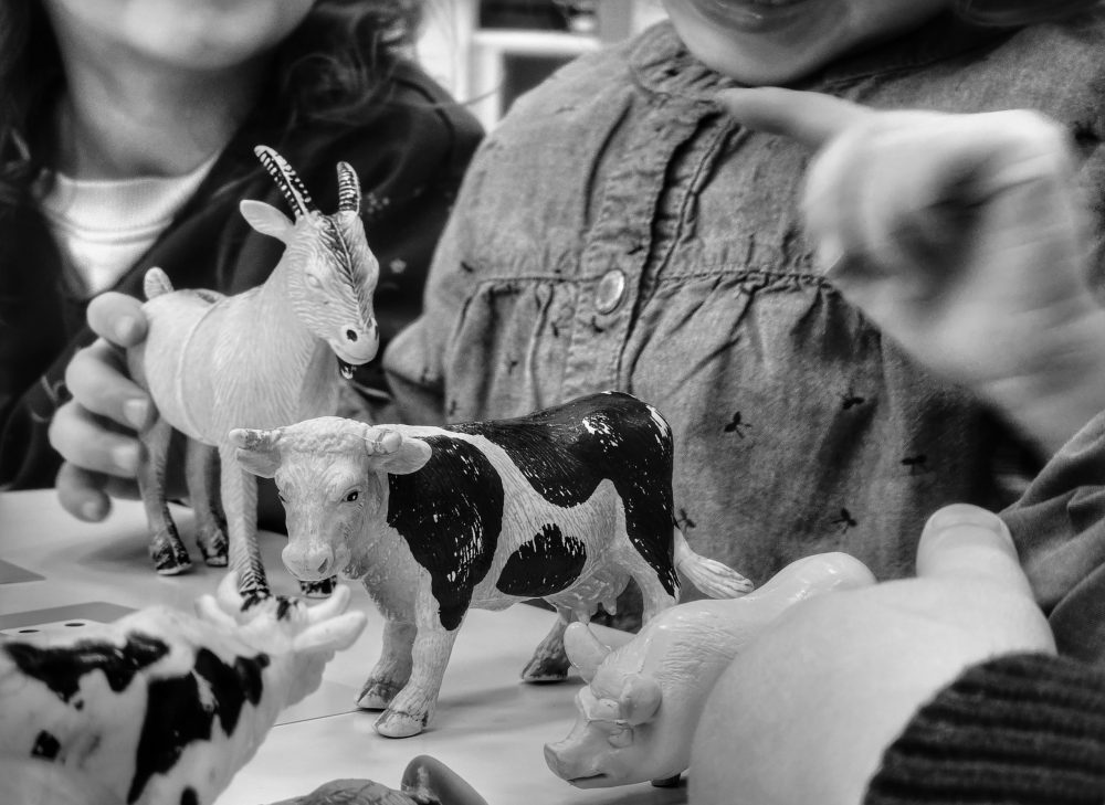 Collège privé Notre Dame de Sion : collège privé à Strasbourg