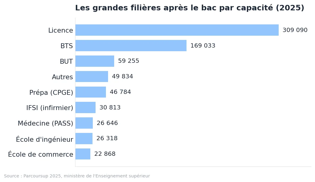Les grandes filières après le bac : graphique de données Parcoursup 2025